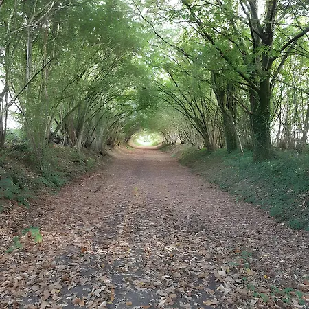 Du Moulin De La Violaye Nyaraló Fay-de-Bretagne