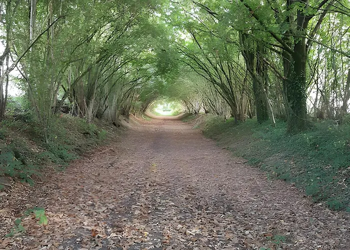 Du Moulin De La Violaye Nyaraló Fay-de-Bretagne